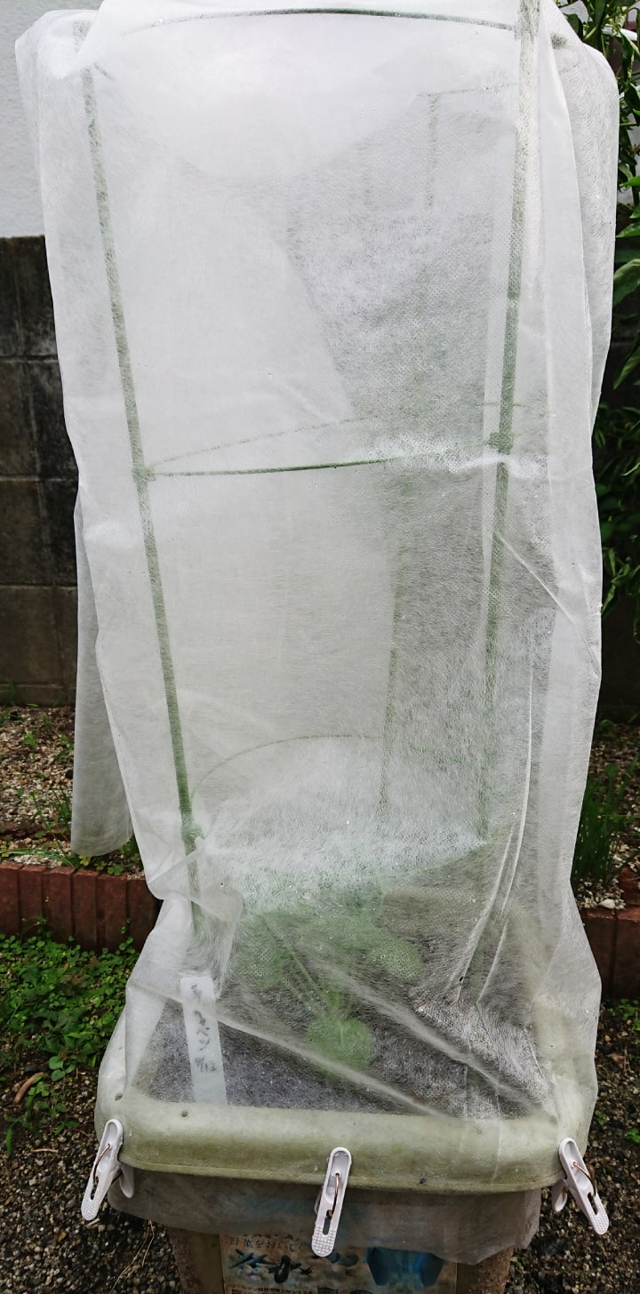 セットした防虫セット
